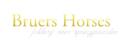 Bruers Horses Logo
